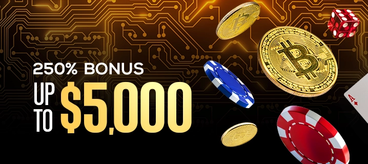 250% Casino Crypto Welcome Bonus
