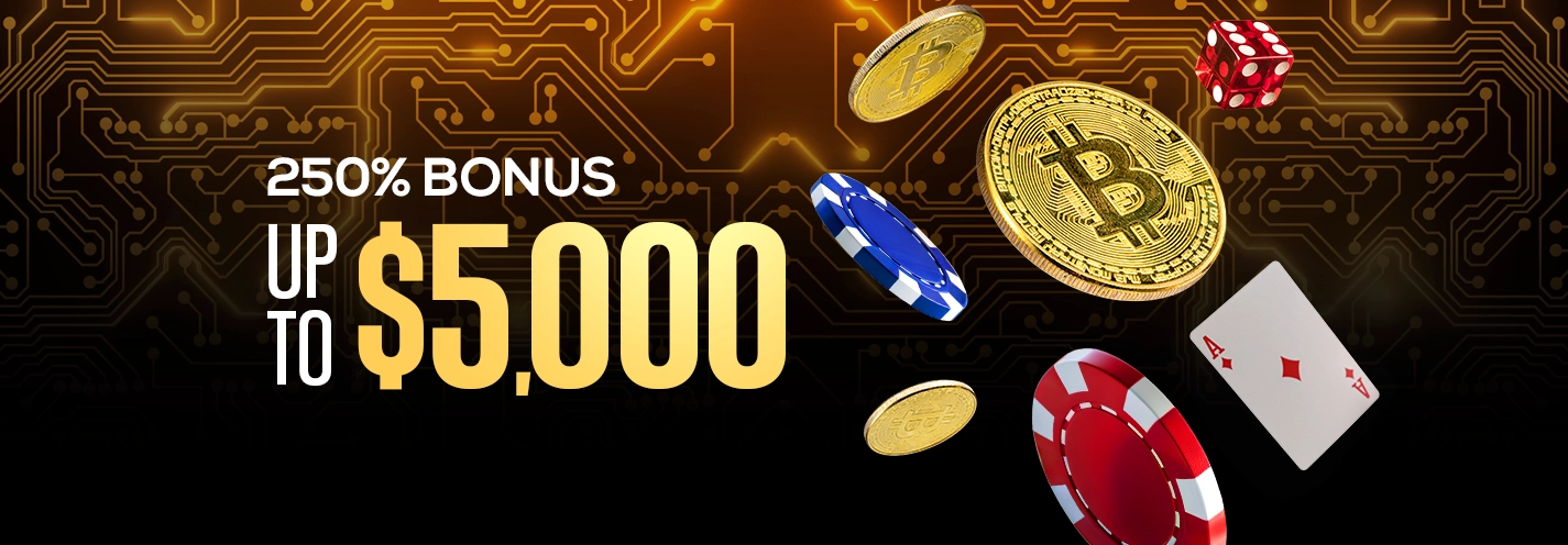 250% Casino Crypto Welcome Bonus