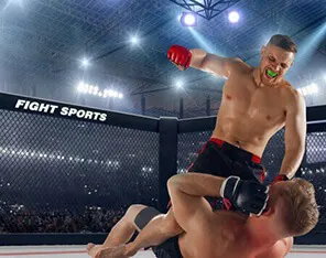 UFC/MMA
