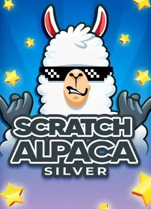 Scratch Alpaca Silver